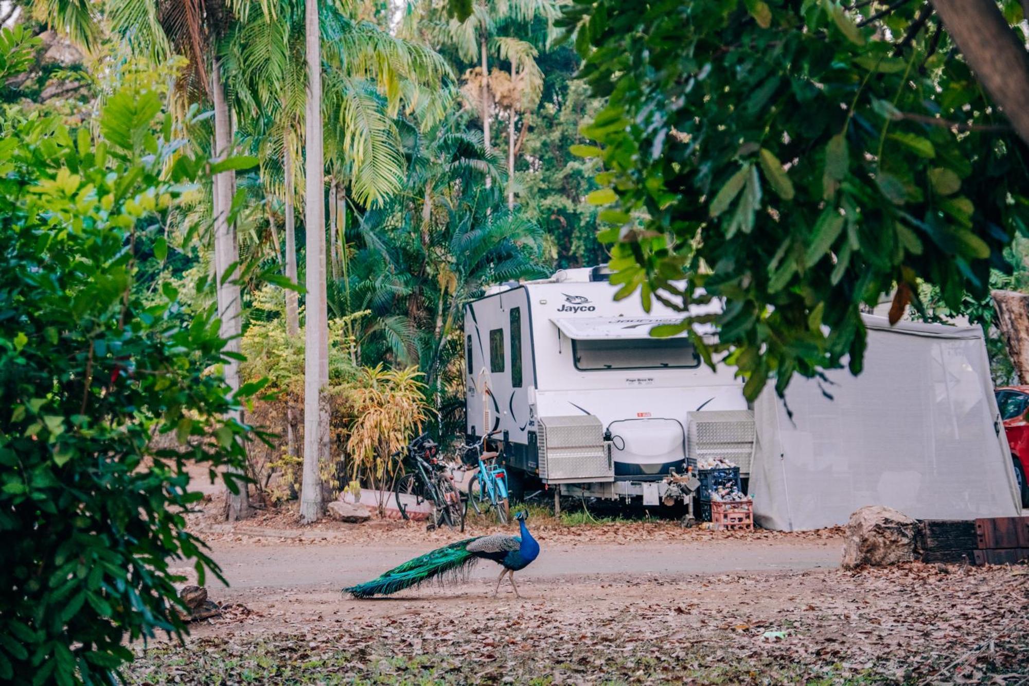 Big4 Howard Springs Holiday Park Darwin Luaran gambar